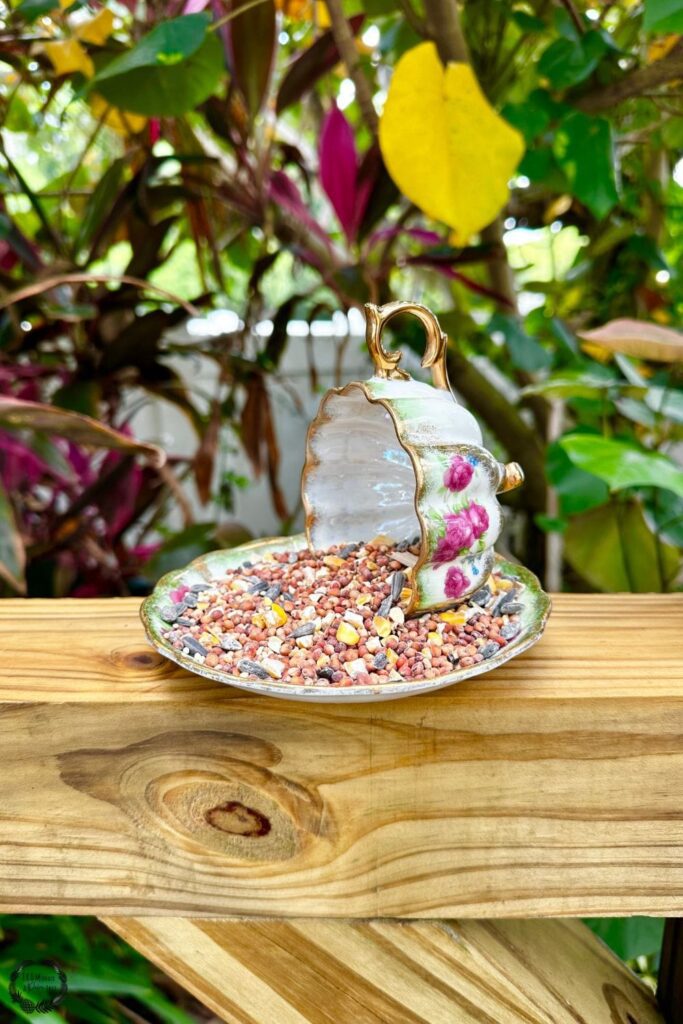 bird feeder | bird feeder craft | Bird Feeder Tea cup and saucer | bird house craft | bird house diy | bird lover | bird watcher | birding | DIY | DIY bird feeder | DIY bird house | DIY tea cup bird feeder | eco-friendly | Family | family craft | family diy | florida birds | fromunderapalmtree | garden | gardening | go green | Green living | Hanging Teacup Bird Feeder | How to make a teapot bird feeder | How to make teacup bird feeder on a pole | how to make your own bird feeder | lifestyle blog | lifestyle blogger | make this with kids | mom blogger | MomLife | Paladone Tea Cup Bird Feeder | Vintage Tea Cup Bird Feeder | spring craft | spring kids craft | summer activity for kids | summer kids craft | summer project for kids | tea cup | tea cup bird bath | tea cup bird bath diy | tea cup bird feeder | tea cup bird feeder diy how to make | Tea cup bird feeder with spoon | tea cup bird feeders diy | Tea cup DIY ideas |