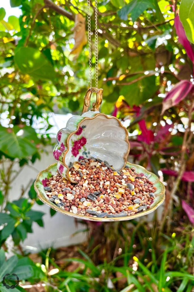 bird feeder | bird feeder craft | Bird Feeder Tea cup and saucer | bird house craft | bird house diy | bird lover | bird watcher | birding | DIY | DIY bird feeder | DIY bird house | DIY tea cup bird feeder | eco-friendly | Family | family craft | family diy | florida birds | fromunderapalmtree | garden | gardening | go green | Green living | Hanging Teacup Bird Feeder | How to make a teapot bird feeder | How to make teacup bird feeder on a pole | how to make your own bird feeder | lifestyle blog | lifestyle blogger | make this with kids | mom blogger | MomLife | Paladone Tea Cup Bird Feeder | Vintage Tea Cup Bird Feeder | spring craft | spring kids craft | summer activity for kids | summer kids craft | summer project for kids | tea cup | tea cup bird bath | tea cup bird bath diy | tea cup bird feeder | tea cup bird feeder diy how to make | Tea cup bird feeder with spoon | tea cup bird feeders diy | Tea cup DIY ideas |