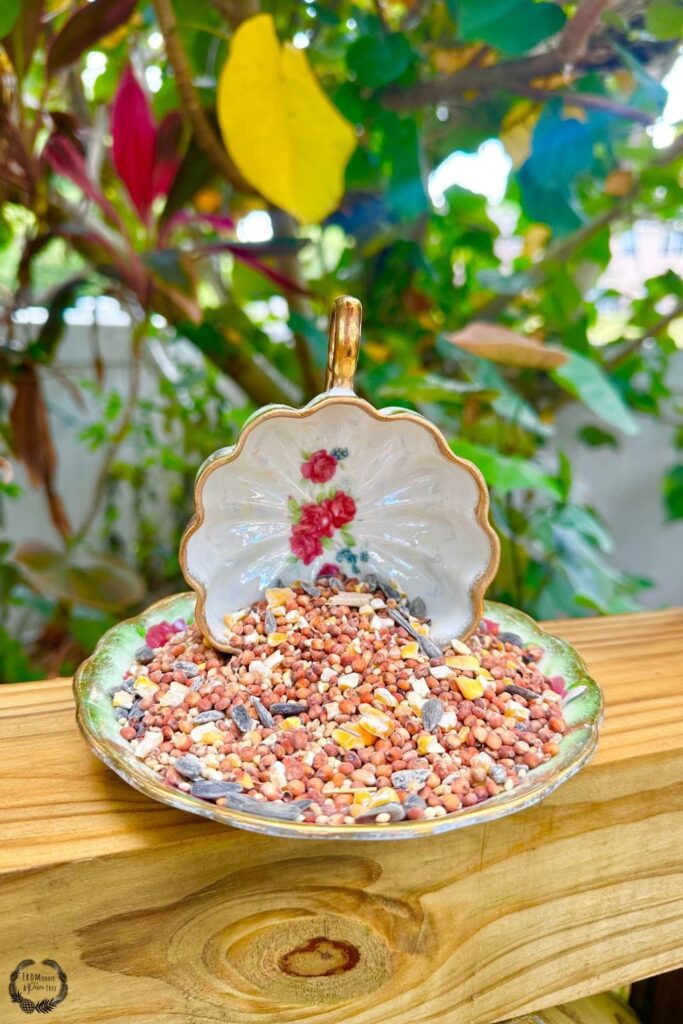 bird feeder | bird feeder craft | Bird Feeder Tea cup and saucer | bird house craft | bird house diy | bird lover | bird watcher | birding | DIY | DIY bird feeder | DIY bird house | DIY tea cup bird feeder | eco-friendly | Family | family craft | family diy | florida birds | fromunderapalmtree | garden | gardening | go green | Green living | Hanging Teacup Bird Feeder | How to make a teapot bird feeder | How to make teacup bird feeder on a pole | how to make your own bird feeder | lifestyle blog | lifestyle blogger | make this with kids | mom blogger | MomLife | Paladone Tea Cup Bird Feeder | Vintage Tea Cup Bird Feeder | spring craft | spring kids craft | summer activity for kids | summer kids craft | summer project for kids | tea cup | tea cup bird bath | tea cup bird bath diy | tea cup bird feeder | tea cup bird feeder diy how to make | Tea cup bird feeder with spoon | tea cup bird feeders diy | Tea cup DIY ideas |