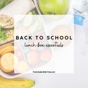 back to school | back to school lunch box essentials | Back to school lunch ideas | bento box for kids | bento box for kids lunch | bento style box | Cold kid lunch ideas for school | Cold school lunch ideas for picky eaters | DIY uncrsutable maker | Easy 30 ideas for school lunches | Easy lunch box ideas for kids | Family | Food | fromunderapalmtree | Green living | Healthy lunch box ideas for kids | Healthy lunch box ideas for school | Healthy lunch ideas for school teenage | Healthy school lunch ideas for weight loss | homemade | Kids | Kids Lunch Box | kids lunch ideas | Kids lunch ideas for picky eaters | Kids Lunchbox Essentials | Kids Lunchbox Essentials from Amazon | kids lunches | lifestyle blog | lifestyle blogger | lunch box | lunch box essentials | Lunch box ideas for fussy eaters | lunch box ideas for kids | lunch box notes for kids | lunch box tools | Lunch ideas for school teenage | mom blogger | Organization | organized lunches for kids | parfait cups for kids | lunch parfait cups for kids | reusable parfait cups | Simple lunch box ideas for adults | Simple lunch box packing ideas | How to make lunch box for kids | Simple lunch box ideas for adults | How to make lunch box for kids | snacks | uncrustable making kit | amazon | amazon finds | school amazon finds | how to pack school lunches | make school lunch cute | school lunch packing | pack school lunch with me | essentials for packing school lunch |